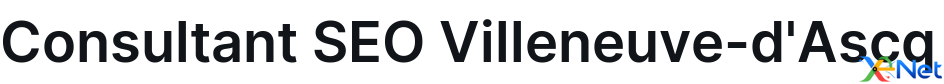 Consultant SEO Villeneuve-d'Ascq